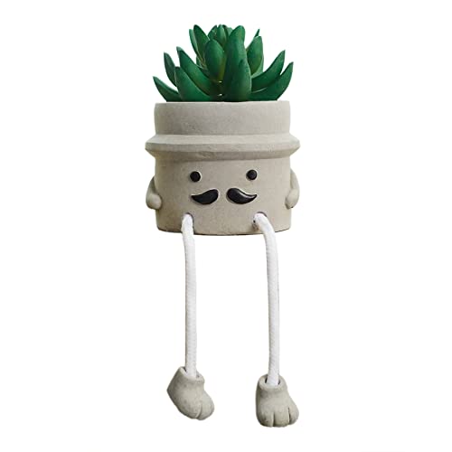 Fake Succulent Plants in Pots for Home and Office Decor