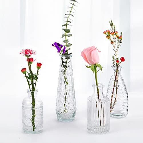 FANTESTICRYAN Retro Clear Bud Vase Set