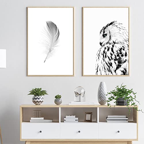 Feather Wall Art Owl Decor Black and White