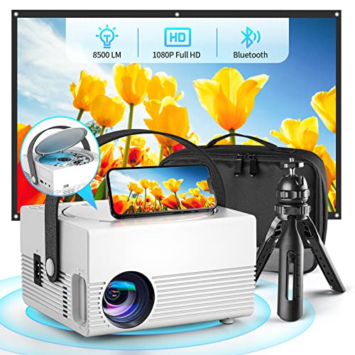 FELEMAN Mini Projector with Built-in DVD Player