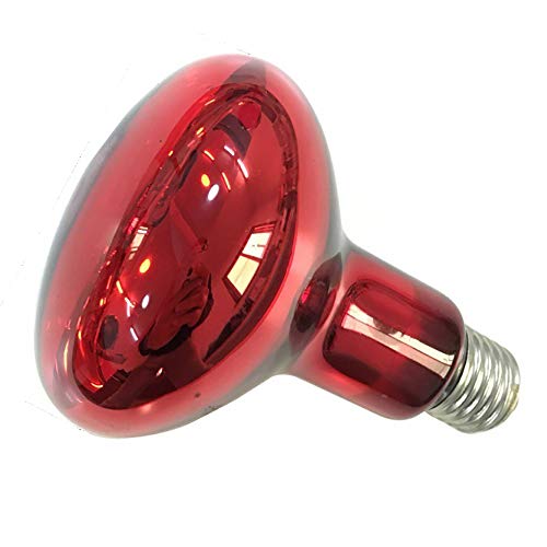 Fengrun Infrared Heat Lamp - Reliable Source of Radiant Heat