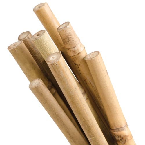 First-Cut Bamboo Stakes, Pack of 10