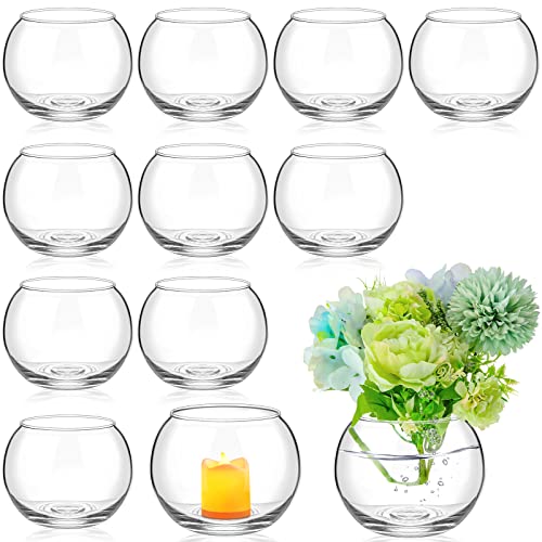 Fish Bowl Vase Glass Bubble Bowl