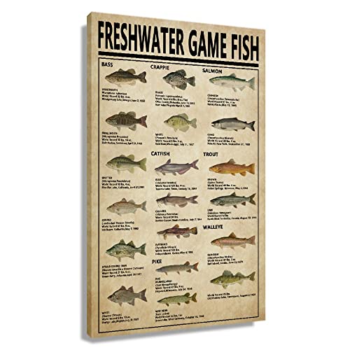 Fish Wall Art Poster