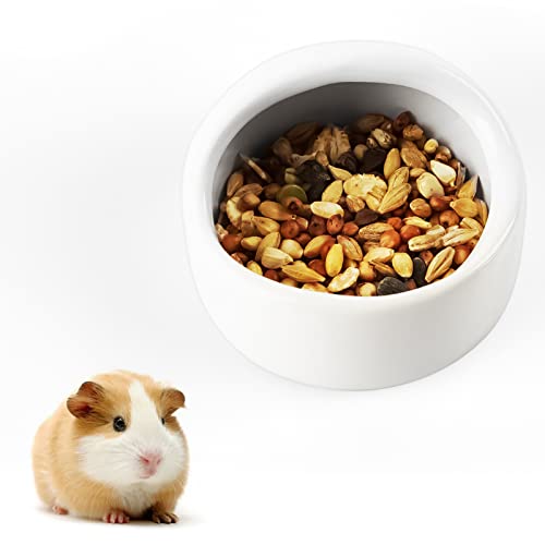 Fitlyiee Ceramic Hamster Bowl Dish for Small Animals