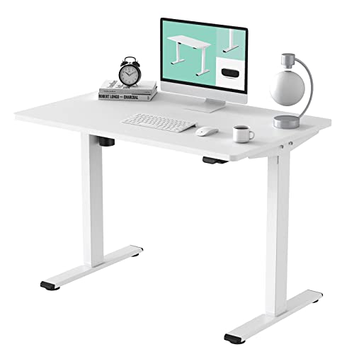 FLEXISPOT Electric Standing Desk