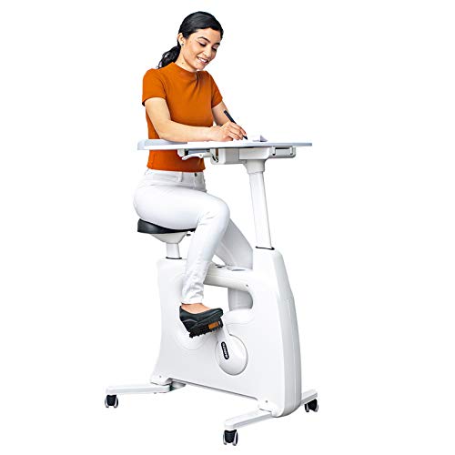 FLEXISPOT Home Workstation Desk Bike - Stay Active While Working at Home