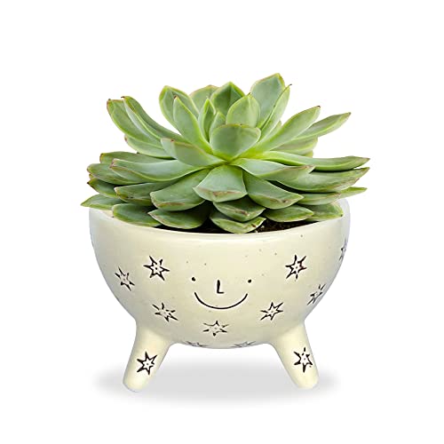 Flora Facepot Ceramic Planter