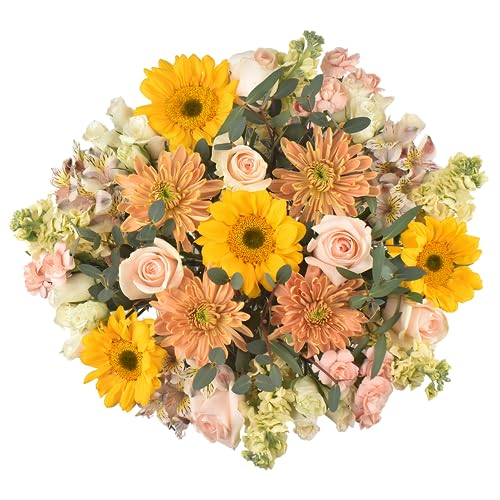 Floral Compass Beautiful Flower Bouquet - 30+ Fresh Cut Flowers