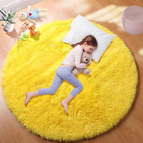 Fluffy Rugs for Bedroom - PAGISOFE Round Area Rug