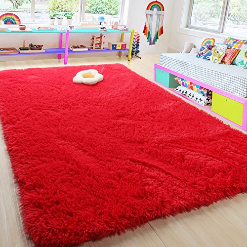 Fluffy Shag Rug for Home Decor