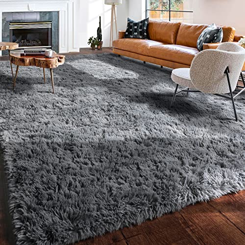 Fluffy Shag Rug for Living Room