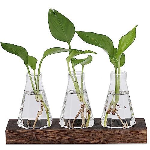 Foosibo Propagation Stations, Plant Terrarium with Wooden Tray Air Plant Propagation Station Diamond Flower Vase for Indoor Hydroponics Plants, Unique Gift for Women (Medium)