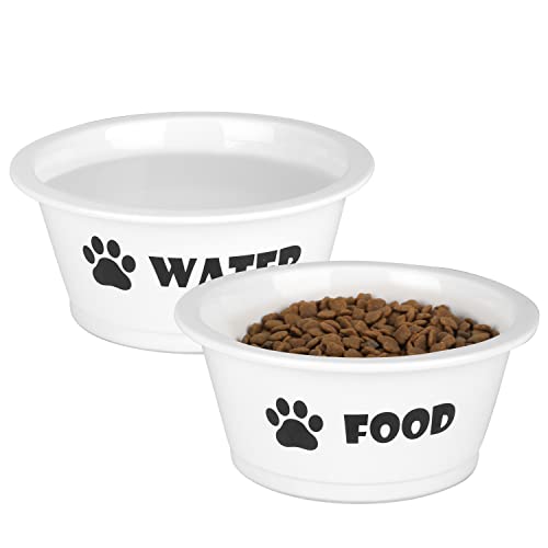 FOREYY Set of 2 Ceramic Dog Cat Bowl Set, Pet Porcelain Food and Water Feeder Dish Bowls with Anti Slip Band, Dishwasher and Microwave Safe (Medium)