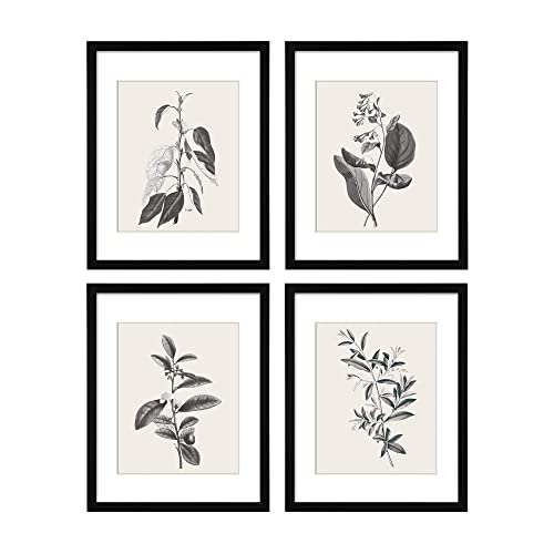 Framed Botanical Wall Art with Plant Prints