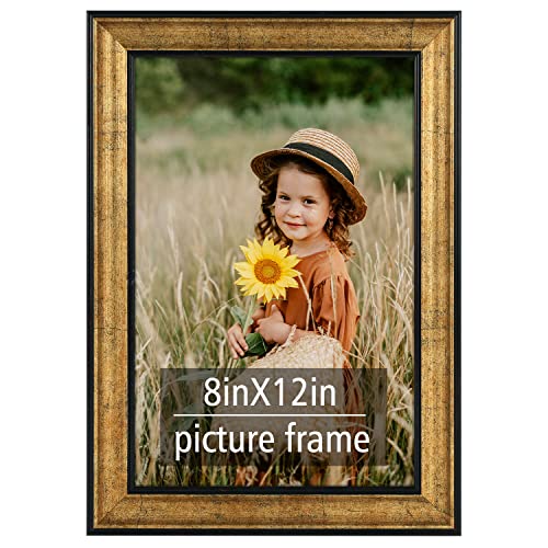 Frametory, 8x12 Picture Frame - Wall Display - Real Glass - Great for Wedding, Poster, Engagement Photographs - Antique Gold