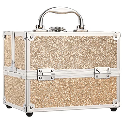 Frenessa Rose Gold Makeup Case with Lockable Storage