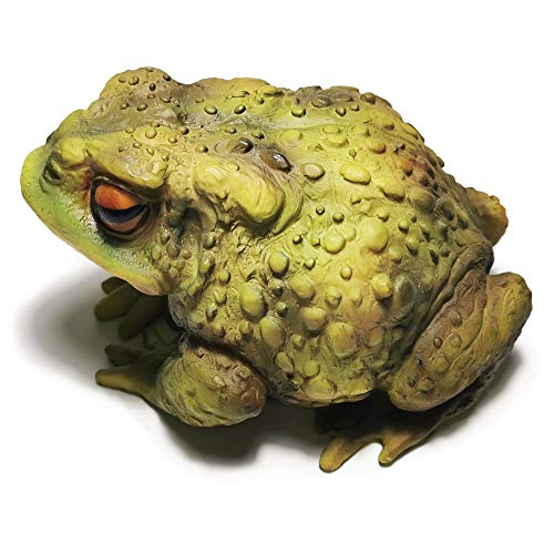 Frog Toad Garden Sculptures
