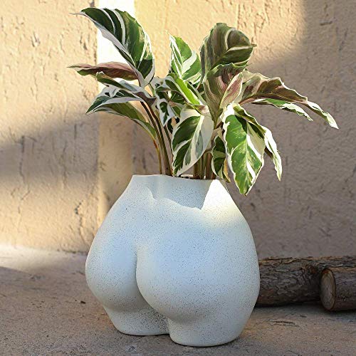 FROZZUR Butt Vase - Modern Resin Planter for Home Decor