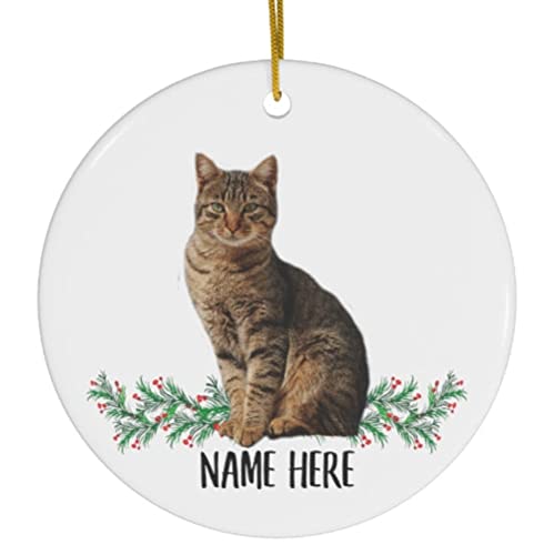 Funny Personalized Name Tabby Cat Brown Gifts 2023 Christmas Tree Ornaments Circle Ceramic