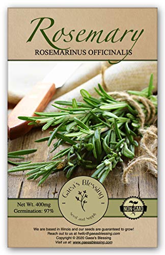 Gaea's Blessing Rosemary Seeds - Heirloom Non-GMO Seeds