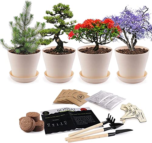 Gardening Potted Plants Kit
