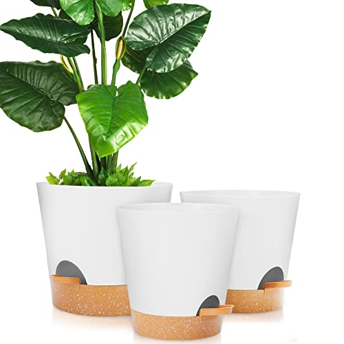 GARDIFE Self Watering Pots for Indoor Plants