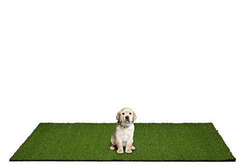 Garland Rug Puppy Pee Pad Artificial Grass Turf Rug