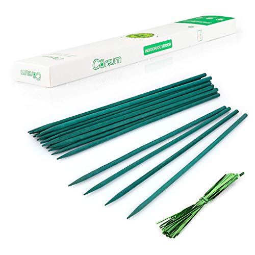 Garsum Bamboo Plant Stakes, 17 Inches 25 Pack