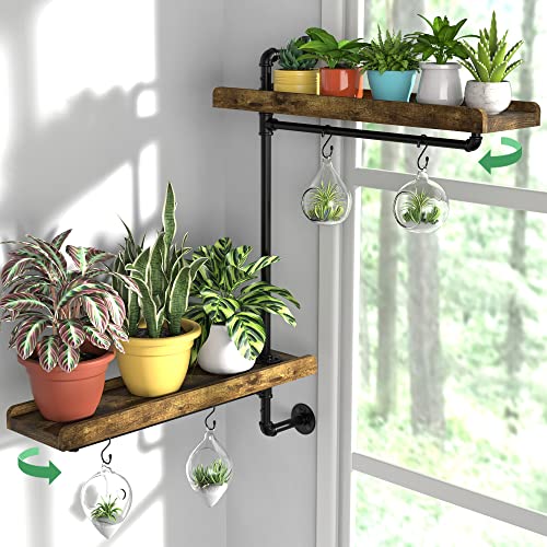 GDLF Window Plant Shelves