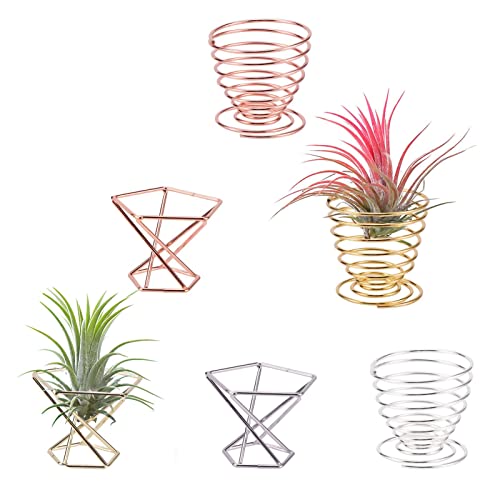 Geometric Air Plant Holders