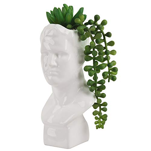 GIA 8'' Face Funny Artificial Plant Decor in Pots Indoor,Small Head Planter with String of Pearl Succulent for Office Home Shelf Decor