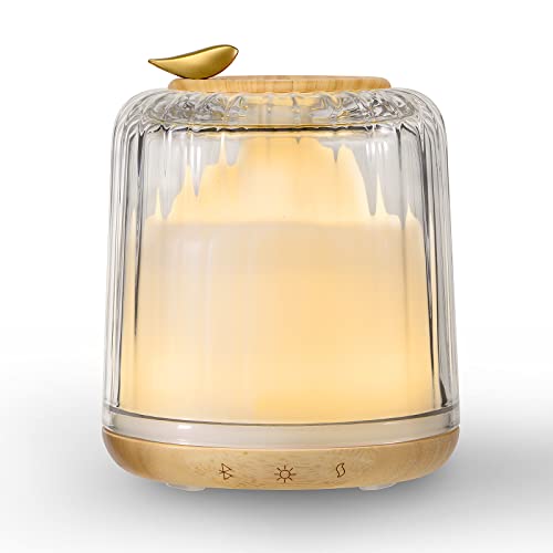 Glass and Wood Aromatherapy Diffuser with Bluetooth Speaker