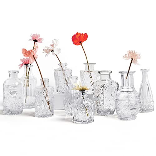 Glass Bud Vase Set of 10