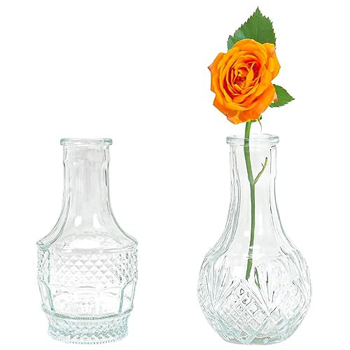 Glass Bud Vase Set of 2