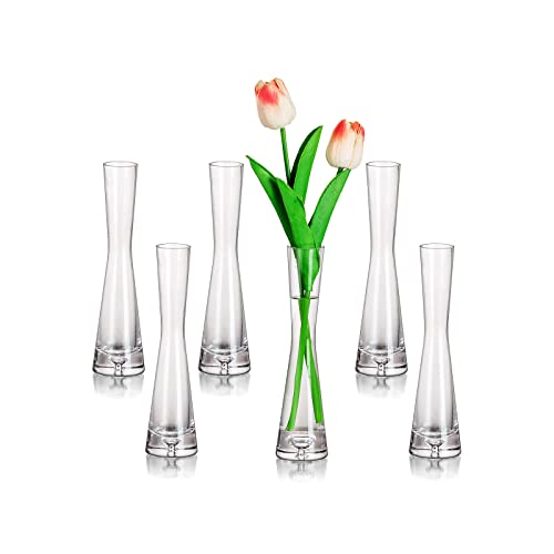 Glass Bud Vases Set of 6