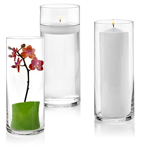 Glass Cylinder Vases 10 Inch Tall