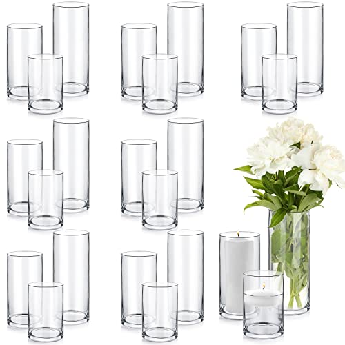 Glass Cylinder Vases - Versatile and Elegant Home Decor