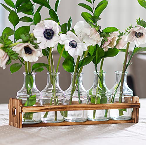Glass Flower Vase with Wooden Holder & 5 Bud Vases