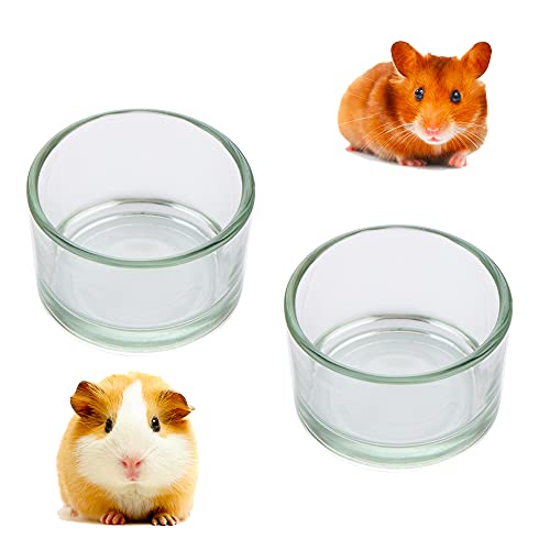 Glass Hamster Food and Water Bowl