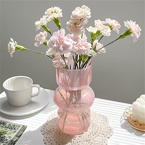 Glass Hydroponic Flower Vase