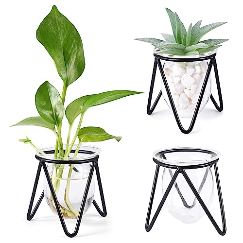 Glass Plant Terrarium with Metal Stand - Set of 3