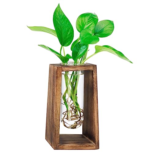 Glass Planter Test Tube Vase with Wooden Stand