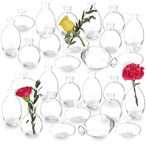 Glass Small Bud Vases Set for Rustic Wedding Decorations