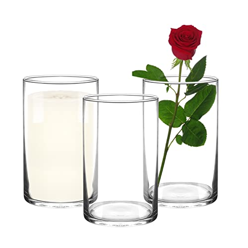 Glass Vases for Table Centerpieces