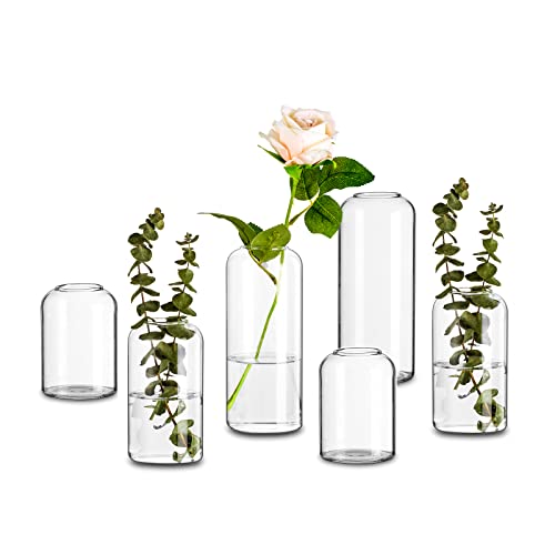 Glasseam Clear Glass Bud Vase Set
