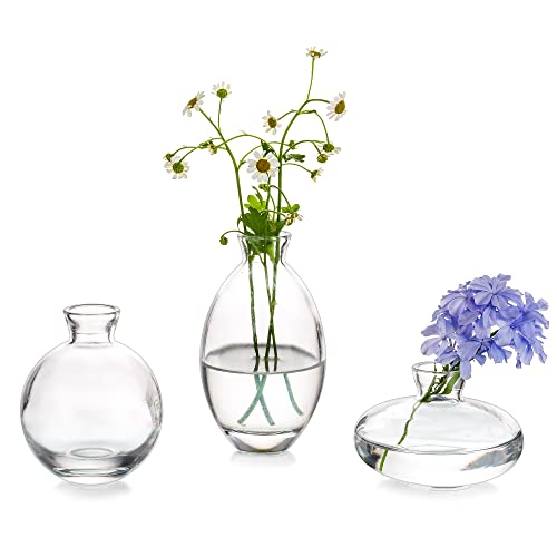 Glasseam Clear Glass Bud Vase, Set of 3 - Elegant and Versatile