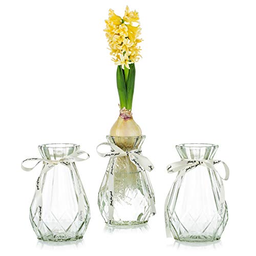 Glasseam Clear Glass Vase for Flowers