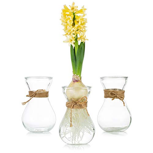 Glasseam Clear Glass Vase Set