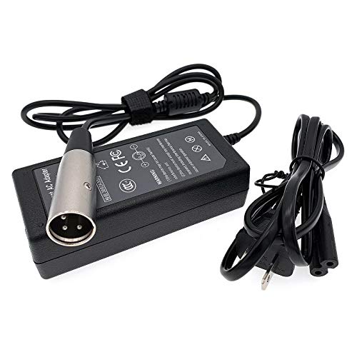 Globalsaving Battery Charger for Currie e-Ride Electric Bike
